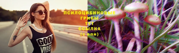 кокс Алзамай
