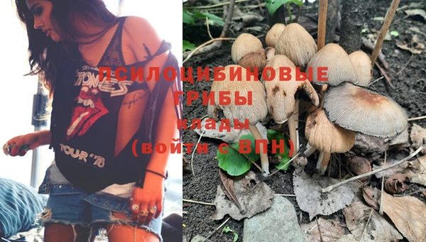 гидра Абинск